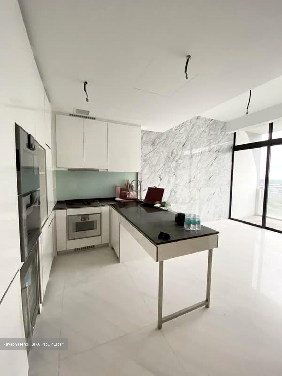 The Scotts Tower (D9), Condominium #582379451